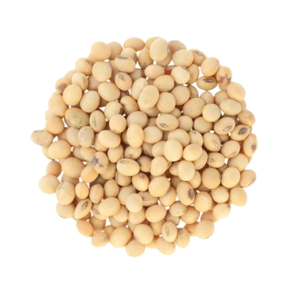 Soya Beans